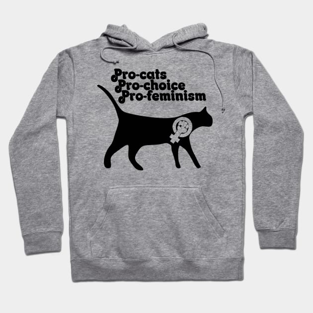 Pro cats pro choice pro feminism Hoodie by bubbsnugg